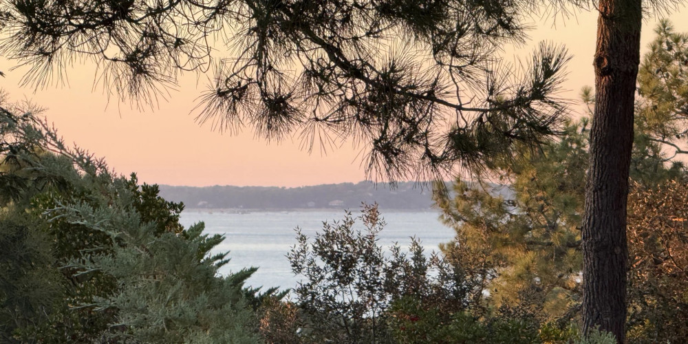 maison à LA TESTE DE BUCH (33115)